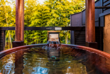 株式会社サンザのプレスリリース画像2