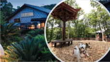 株式会社サンザのプレスリリース画像7