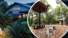 株式会社サンザのプレスリリース画像5