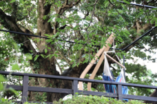 株式会社サンザのプレスリリース画像3