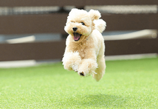 株式会社サンザのプレスリリース画像8