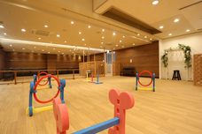 株式会社サンザのプレスリリース画像11