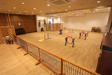 株式会社サンザのプレスリリース画像10