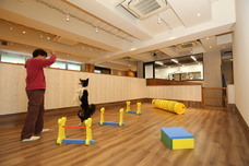 株式会社サンザのプレスリリース画像4