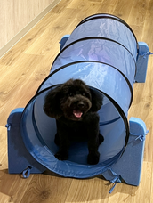 株式会社サンザのプレスリリース画像12