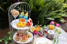 株式会社サンザのプレスリリース画像4