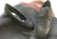 株式会社LUXCELのプレスリリース画像2