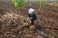 特定非営利活動法人　国際地雷処理・地域復興支援の会のプレスリリース画像2