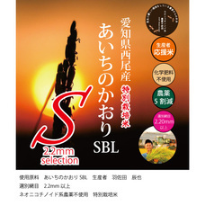 米流通評論家　常本　泰志のプレスリリース画像2