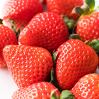 株式会社ふるさとサービスのプレスリリース画像1