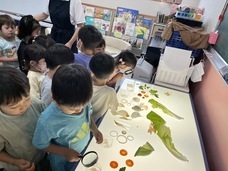 学校法人SEiRYO学園のプレスリリース画像1