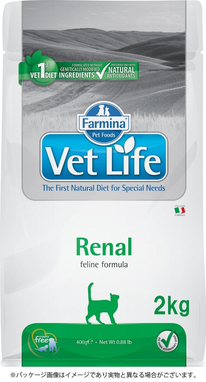 Green Letter 合同会社のプレスリリース画像1