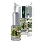 Green Letter 合同会社のプレスリリース