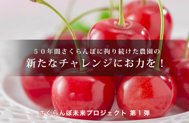 ドリームバンク株式会社のプレスリリース画像1