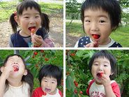 ドリームバンク株式会社のプレスリリース画像4