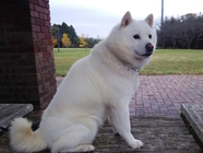 NPO法人 大地の会のプレスリリース画像1