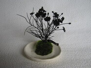 ミノルフラワーのプレスリリース画像1