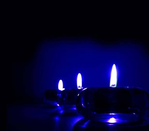 THE AMRITAのプレスリリース画像1