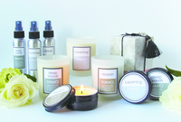 AMALIA studioのプレスリリース画像1