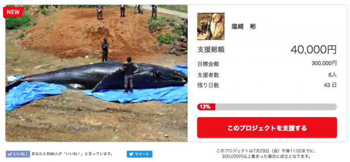 長崎大学水産学部 漂着したイルカやクジラを調査するプロジェクトについて クラウドファンディングサイトを公開しました 長崎大学海棲哺乳類研究室のプレスリリース 長崎大学水産学部 漂着したイルカやクジラを調査するプロジェクトについて クラウドファンディングサイトを公開しました 長崎大学海棲哺乳類研究室のプレスリリース