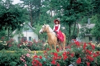 信州塩尻農業公園　チロルの森のプレスリリース画像5