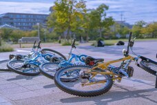 特定非営利活動法人ブレーンヒューマニティーのプレスリリース画像4