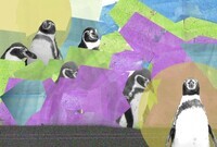 鳥クルッテル.incのプレスリリース