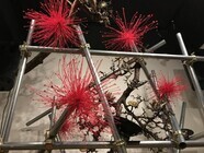 鳥クルッテル.incのプレスリリース