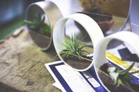 株式会社　成和のプレスリリース画像1