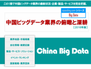 イーパオディング インドビッグデータ業界の俯瞰と深耕 16年版 を発売 イーパオディング株式会社のプレスリリース