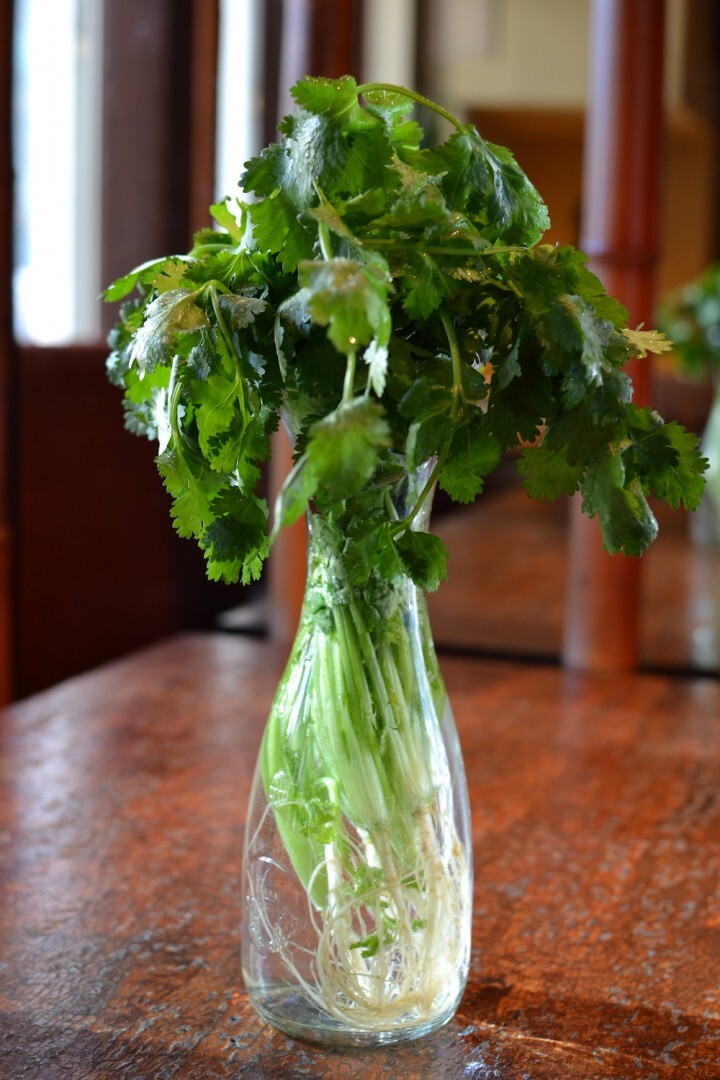 株式会社甲羅のプレスリリース画像3