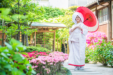 株式会社渕上ファインズのプレスリリース画像8