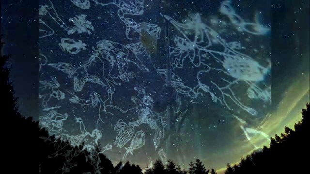 国立成育医療研究センターのプレスリリース画像1