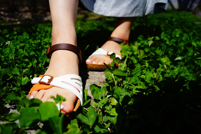 株式会社エルツ・インターナショナルのプレスリリース画像3