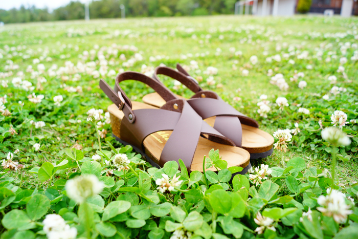 株式会社エルツ・インターナショナルのプレスリリース画像2