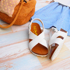 株式会社エルツ・インターナショナルのプレスリリース画像3