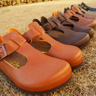 株式会社エルツ・インターナショナルのプレスリリース画像3