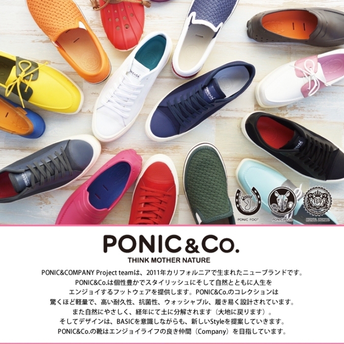 株式会社エルツ・インターナショナルのプレスリリース画像1