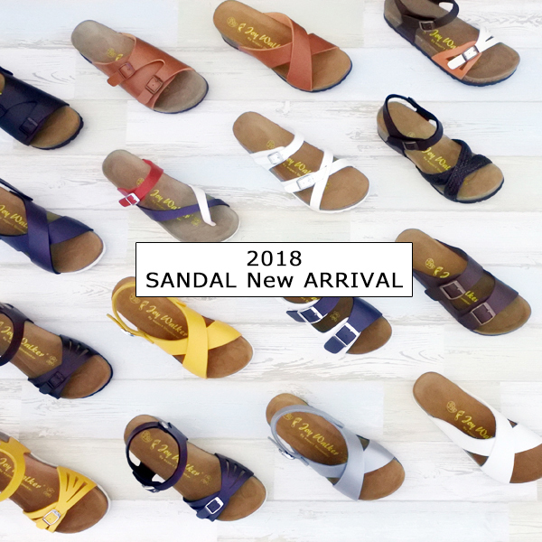 株式会社エルツ・インターナショナルのプレスリリース画像1