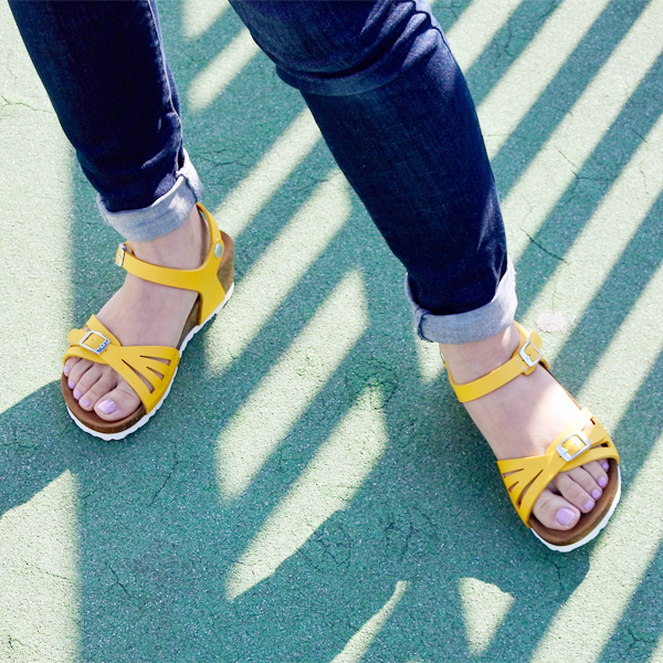 株式会社エルツ・インターナショナルのプレスリリース画像2