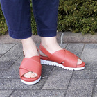 株式会社エルツ・インターナショナルのプレスリリース画像3