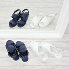 株式会社エルツ・インターナショナルのプレスリリース画像1