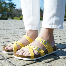 株式会社エルツ・インターナショナルのプレスリリース画像3