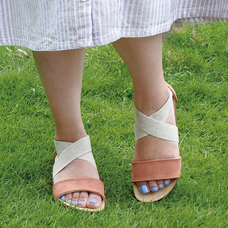 株式会社エルツ・インターナショナルのプレスリリース画像2