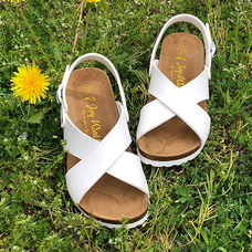 株式会社エルツ・インターナショナルのプレスリリース