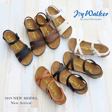 株式会社エルツ・インターナショナルのプレスリリース画像1