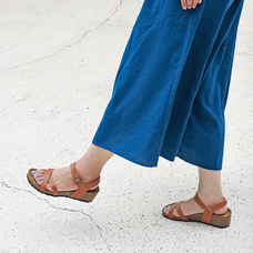 株式会社エルツ・インターナショナルのプレスリリース画像2