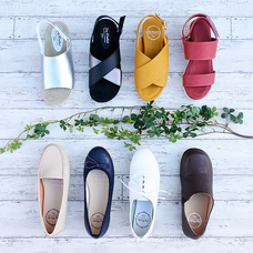 株式会社エルツ・インターナショナルのプレスリリース