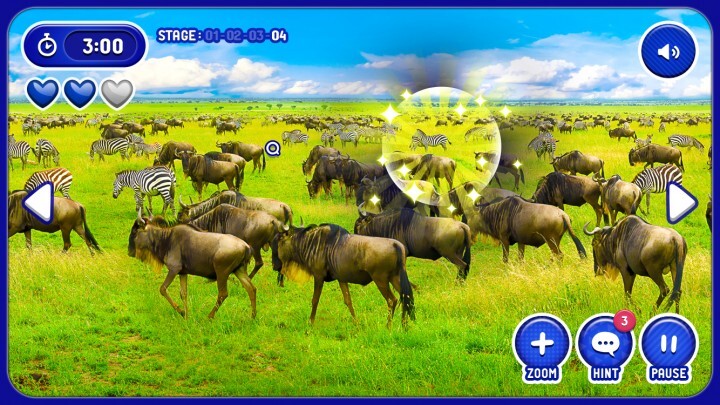 千寿製薬株式会社のプレスリリース画像4