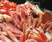 株式会社　ファイブエス コーポレーションのプレスリリース画像1